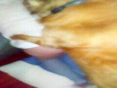 Thumb 12