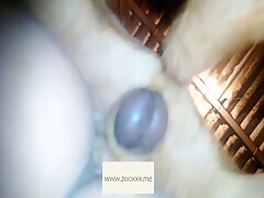 Thumb 13