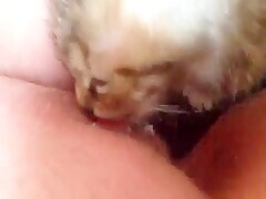 Thumb 20